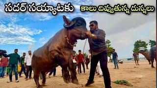 Khairatabad Sadar 2022 | Madhu Yadav Sadar 2022 | Madhu Yadav Sadar New  bulls introduction