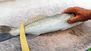 How To Fillet A Speckled Trout (And Remove The Skin & Bones)