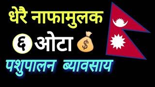 ठूलो आम्दानी हुने 6 ओटा पशुपालन ब्यावसाय | Animal husbandry business ideas in nepal | sujan pokhrel