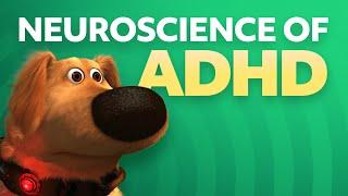 Neuroscience of ADHD