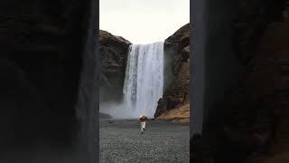 Most Popular spot in Iceland ️