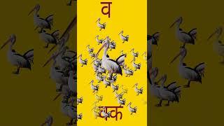 वक