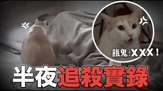 【黃阿瑪的後宮生活】奴才的半夜，極度崩潰