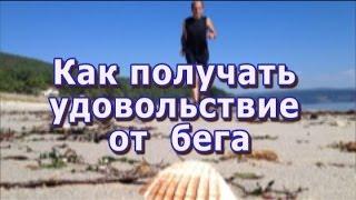 Удовольствие от бега. Как получать удовольствие от бега.