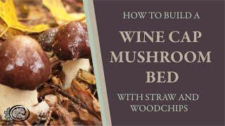 How to Build and Plant a Wine Cap Stropharia Mushroom Bed: An Easy Method for Large and Small Areas