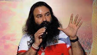 MSGians Live | 24x7 | Saint Dr Gurmeet Ram Rahim Singh Ji | Dera Sacha Sauda