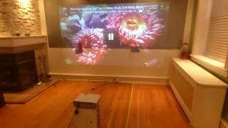 BEFORE YOU BUY A PROJECTION SCREEN YOU NEED TO SEE THIS DEMONSTRATION!