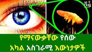 Ethiopia:- የማናውቃቸው የሰው አካል አስገራሚ እውነታዎች | Nuro Bezede Girls