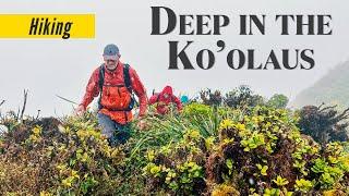 A Hawaii mountain peak you never heard of