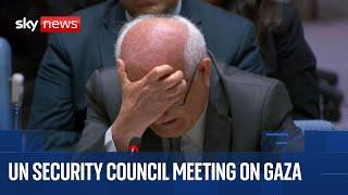 UN Security Council meeting on Middle East amid claims Hamas's Gaza chief has been 'eliminated'