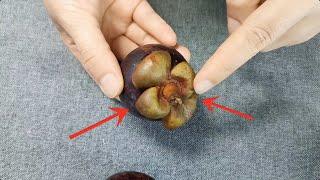 There is a small organ on the top of the mangosteen, just press down to open the whole mangosteen,