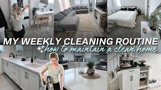  WEEKLY SATISFYING CLEANING ROUTINE | WHOLE HOUSE SPEED CLEANING MOTIVATION | CLEAN WITH ME 2024