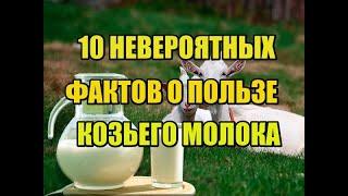 10 ПРИЧИН ПОЧЕМУ КОЗЬЕ МОЛОКО ПОЛЕЗНЕЕ КОРОВЬЕГО