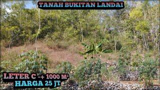 ‼️DIJUAL TANAH BUKITAN LANDAI LTR C ±1000M² HARGA 25 JT ‼️#jualtanah #tanahmurahgunungkidul