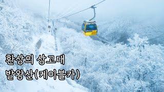 20240121환상적이었던 용평 발왕산 상고대(with 발왕산케이블카)