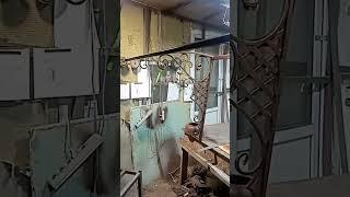 29 августа 2024 г.