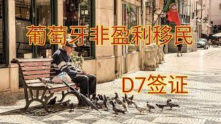 葡萄牙D7签证#葡萄牙非盈利移民#葡萄牙d7签证办理#移民葡萄牙#移民欧洲#移民葡萄牙好不好#葡萄牙物价#葡萄牙护照#D7签证如何办理？符合什么要求可以申请？一站式解读，畅享28个申根国，五年可入籍