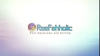 ReefAhholic Intro 3.2