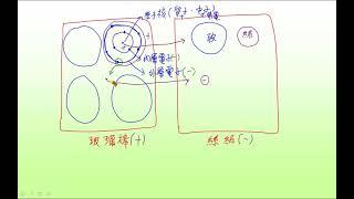 便利學習網 吳佰老師 高中選修物理4(108課綱)1 17 1 1 trial