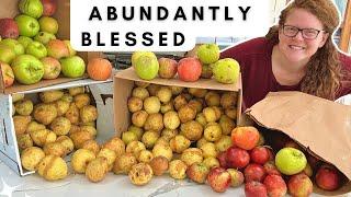 HUGE Pear & Apple Preservation Day! Cook with me