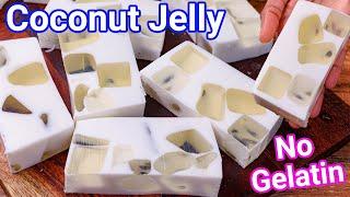 Coconut Jelly Recipe - Coconut Milk & Coconut Water Jello Kids Favorite Dessert | No Gelatin Jelly