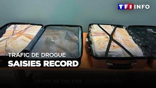 Trafic de drogue : des saisies record｜TF1 INFO