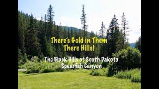 There's Gold in Them There Hills!  The Black Hills and Spearfish Canyon