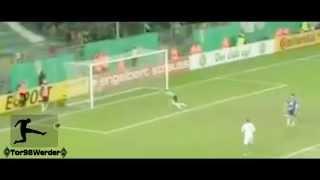 Clemens Fritz - Werder Bremen (Musik Video)