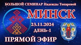 Надежда Токарева - БС_23.11.2024.Д-1 Минск. Прямой Эфир