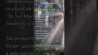 Психология мотивации, цитаты, саморазвитие, философия