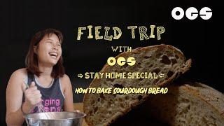 Baking Sourdough Bread In A Day | OGS Field Trip