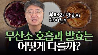 호흡과 발효의 차이? 생명과학 교과서 속으로 10편!