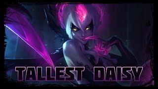 The Tallest Daisy (Evelynn Lore)