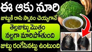 NATURAL Black hair remedy | Hair growth tips | Manamtv hyderabad health | MANAMTV |