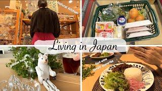 Shopping at my favorite goodies store, red wine tomato spareribs for dinner | japan daily