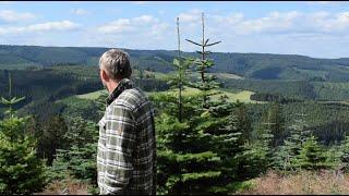 Traumhafte Wanderung im Hochsauerland