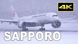 [4K] 35 Jets in Heavy Snow! Winter Plane Spotting at Sapporo New Chitose Airport / 新千歳空港 JAL ANA