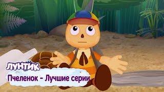 Пчеленок  Лучшие серии  Лунтик  Сборник мультфильмов 2018