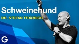 Das Günter-Prinzip: So motivierst du deinen inneren Schweinehund // Dr. Stefan Frädrich