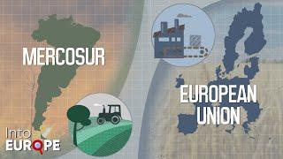 The EU-Mercosur Trade Deal