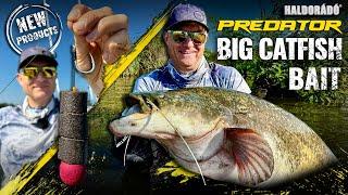 Gábor Döme – ON LEGENDARY CATFISH WATERS part 6. – Pellet-fishing for Catfish on Ohat