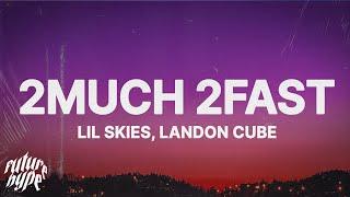 Lil Skies - 2Much 2Fast (Lyrics) ft. Landon Cube