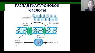 OrthoTalks online "Новое в локальной инъекционной терапии. Гиалуроновая кислота. Нюансы" 30.06.2020