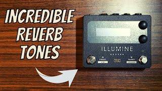 One of the BEST Reverb Pedals on the Market? | Illumine from Neunaber