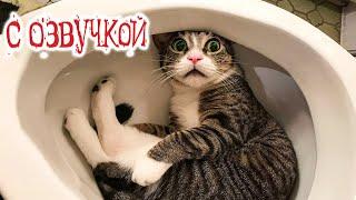 Funny Animal Videos 2023 - Funniest Dogs and Cats Videos #83