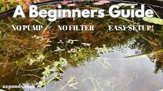 A beginners guide to building a small fish pond with no pump or filter