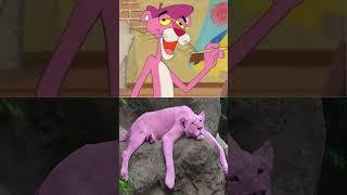 Pink Panther Real Life  #shorts