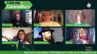 How Cannabis Changed My Life - CannaBuzz Stories Sesh