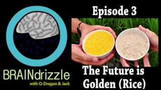 Braindrizzle Ep3 - The Future is Golden (Rice)