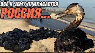 рОССИЯ угробила Азовское море! Разлив мазута из корыт рашки добрался Бердянска. Гражданская Оборона